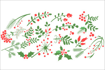 Flat vectoe sof natural decorative elements. Red rowan berries, branches of fir, green leaves and other blossoming plants. Design for greeting card