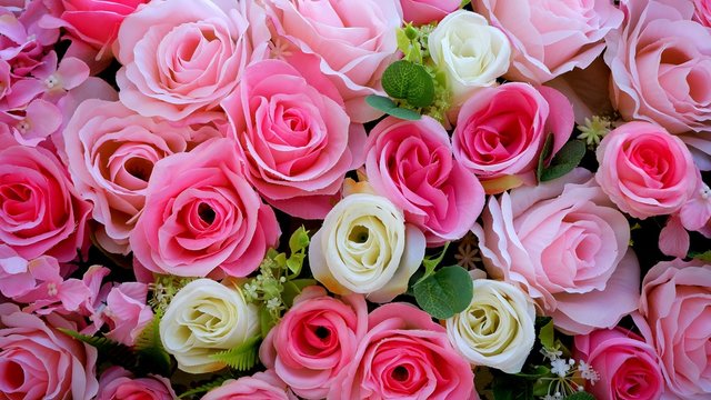Top view of many colorful artificial rose flowers with various colors background for love and wedding scene concept