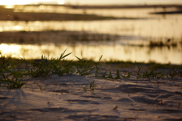bord de mer Baltique