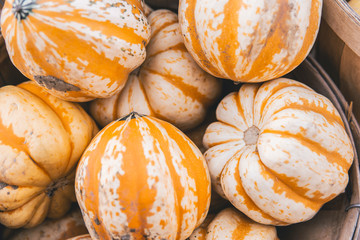 Pumpkins