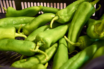 Green pepper macro shot fresh vegetable. Restaurant, healthy food.