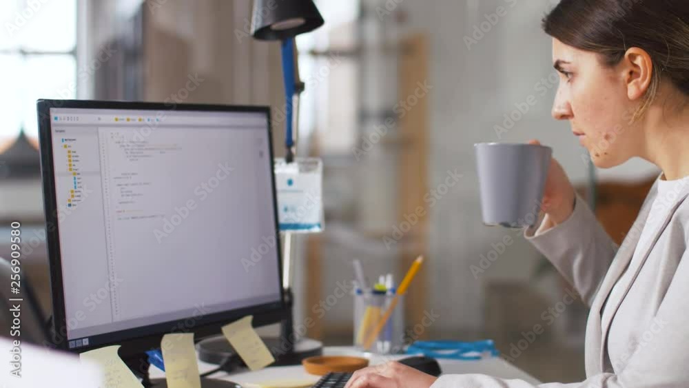 Wall mural business, programming and technology concept - female programmer with script on computer screen work