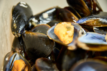 Close up shot of an opened mussel. Delicious mediterranean boiled mollusk meal. Paella ingredient.
