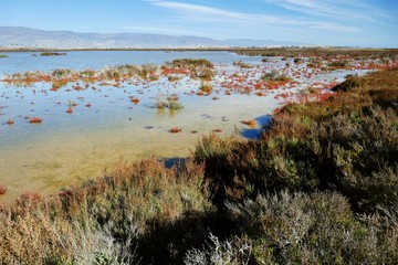 Naturlandschaft um Almería in Andalusien, Spanien