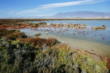 Naturlandschaft um Almería in Andalusien, Spanien