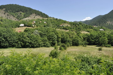 Forest in Mokra Gora, Serbia