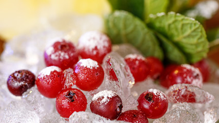 Fresh cocktail background cranberry with mint