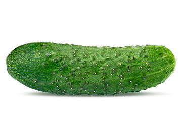 whole cucumber isolated