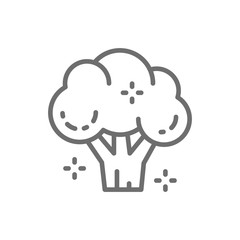 Broccoli, vegetable, healthy food line icon. Isolated on white background