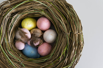 Colorful easter eggs in nest