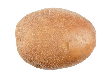 raw young potato isolated