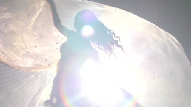 Oriental dancer rotates in a luxurious dress. Smoke background. Slow motion. Sihouette