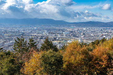 Obraz premium City panorama of kyoto Japan with trees in foreground