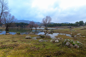 Sky, lake and tree