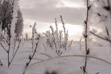 Winter snow landscape
