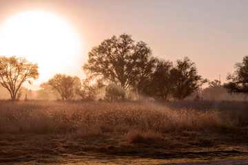 AMANECER