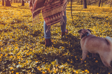 Woman walking pug dog in spring forest. Happy puppy running among yellow flowers in the morning. Dog enjoying nature