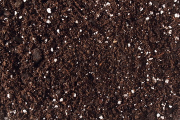 organic potting soil texture background top view