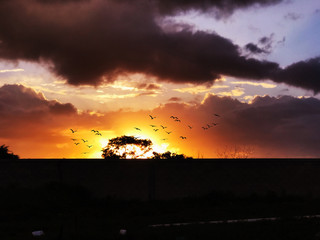 SUNSET