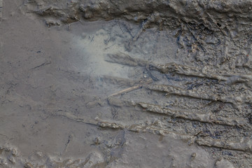 greasy wet dirt with traces of wheels, texture background
