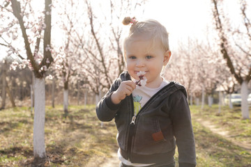Baby girl enjoying a day in the blooming orchard, a weekend in the countryside