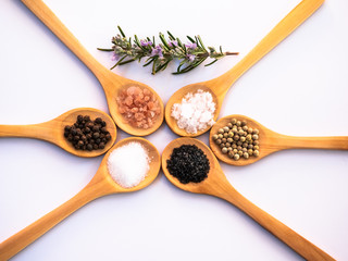 Wooden spoons with himalayan salt, black hawaii salt, common salt, salt flakes, peppercorns and a rosemary twig on a white background