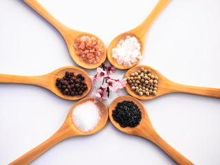 Wooden spoons with himalayan salt, black hawaii salt, common salt, salt flakes and peppercorns on a white background