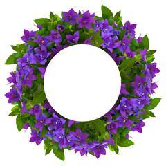 Bright fresh purple garden flowers-bells frame white isolated