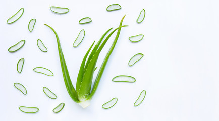 Aloe vera is a popular medicinal plant for health and beauty, white background.