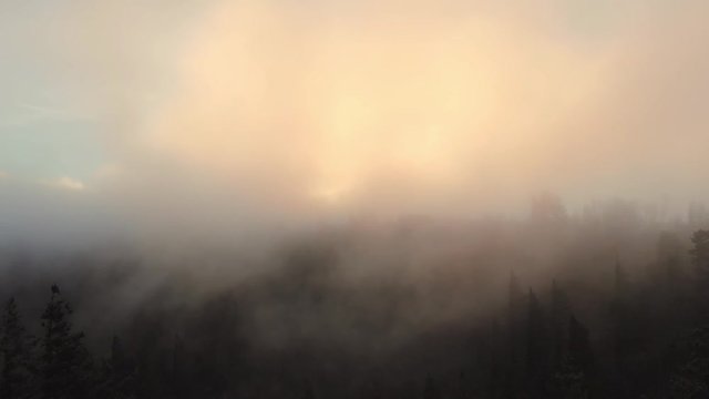 Aerial drone shot of beautiful misty sunlit morning fog above lush forest evergreen landscape