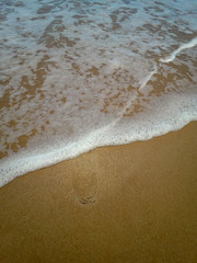 Woman walking on sand beach leaving footprints in the sand. Closeup detail of female feet at Brazil.