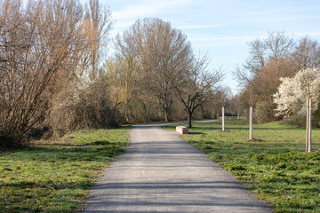 Beautiful spring landscape at the morning park in Frankenthal