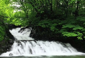夏の渓流
