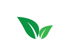 creative leaf logo design