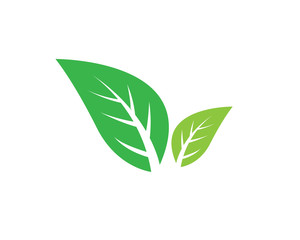 Obraz premium creative leaf logo design