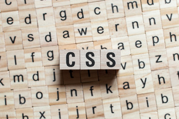 Css word concept