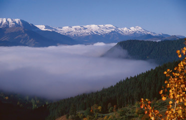 morning fog mountain range blue misty .savsat/artvin/turkey
