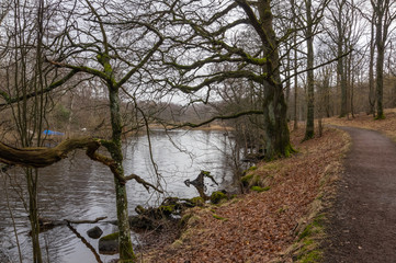 G&aring;ngstigen vid vattendraget.