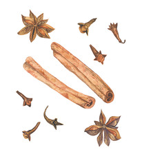 hand drawn watercolor illustration/cinnamon sticks,cloves and stars anise
