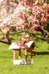 Obraz na płótnie Canvas red flowers of apple tree, white bird feeder