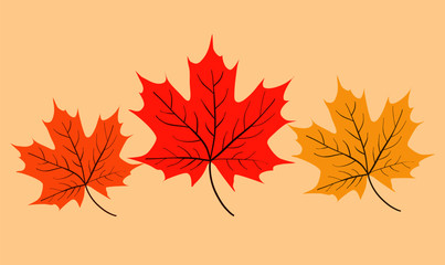 Illustration of three different colours of autumn leaves.