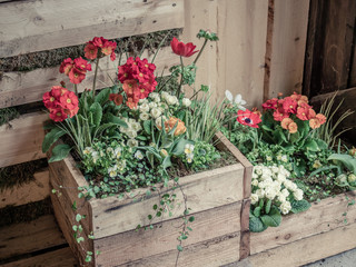 Image of wooden wall with wood boxes full of beautiful colorful flowers. decoration