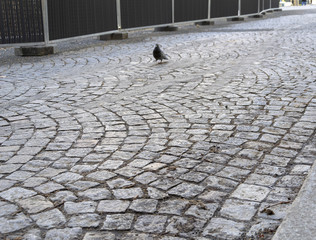 Pavés de rue