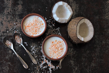 Homemade coconut yogurt. Probiotics. Fermented foods. Healthy breakfast. Keto diet.