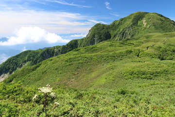 Fototapeta premium 雨飾山 山頂への道 笹平と山頂のある風景