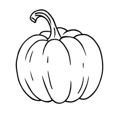 Isolated line image of pumpkin