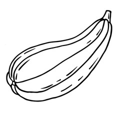 Outline vector  image of pumpkin