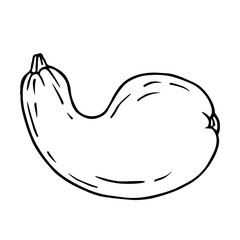 Isolated image of pumpkin