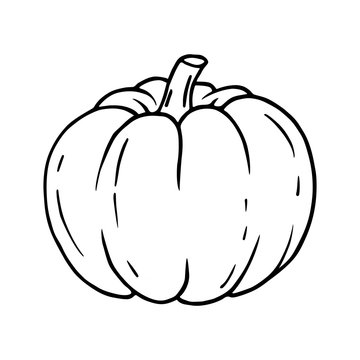 Outline vector  image of pumpkin