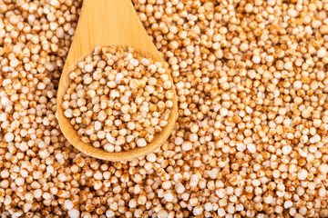 Popped amaranth grain - Amaranthus. Text space